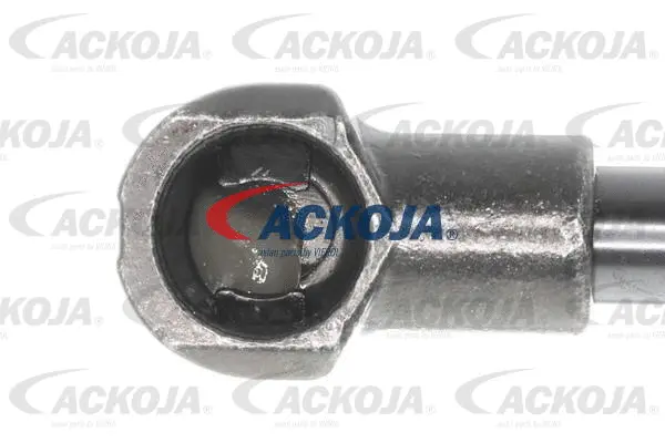 Gas Spring, boot/cargo area