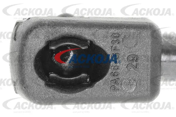 Gas Spring, boot/cargo area