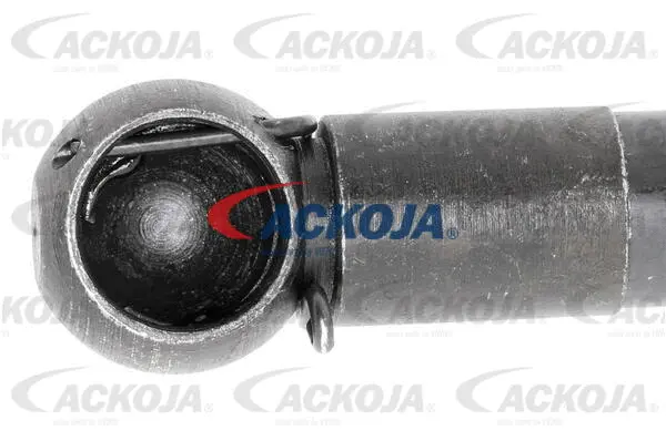 Gas Spring, boot/cargo area