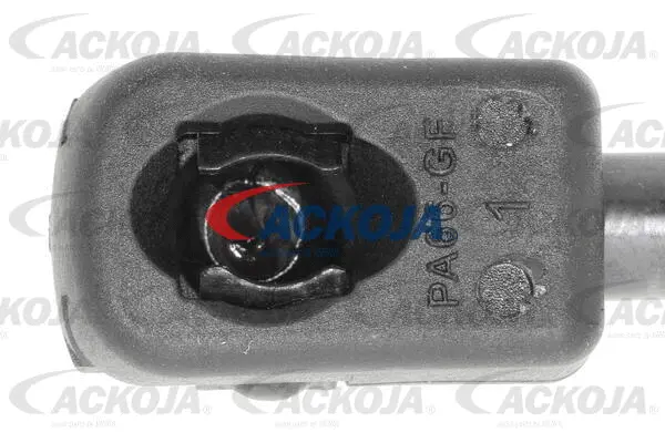 Gas Spring, boot/cargo area