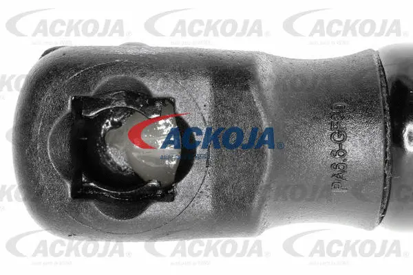 Gas Spring, boot/cargo area