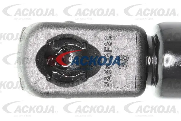 Gas Spring, boot/cargo area