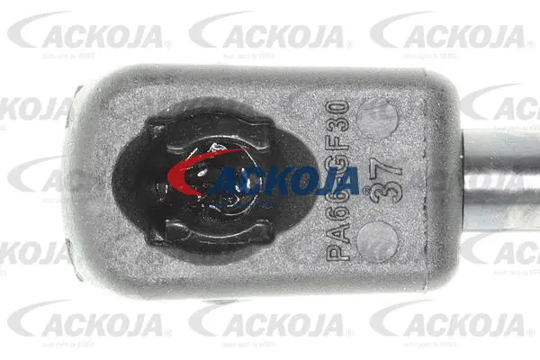 Gas Spring, boot/cargo area