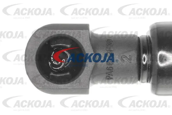 Gas Spring, boot/cargo area