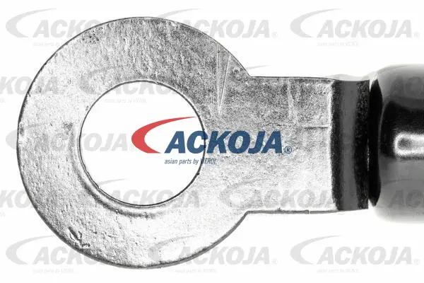 Gas Spring, boot/cargo area