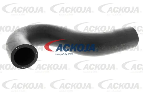 Radiator Hose (A38-1601)