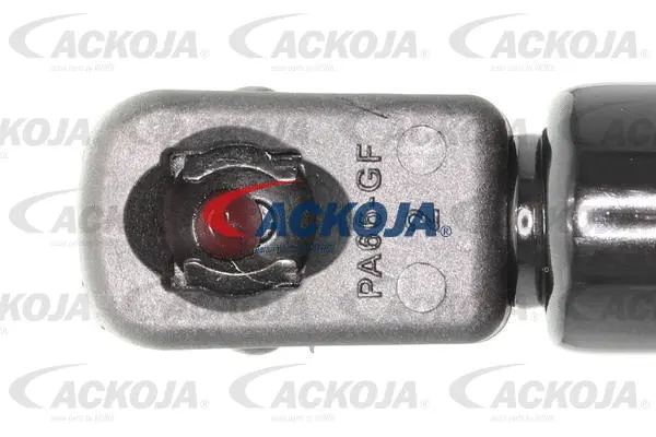 Gas Spring, boot/cargo area