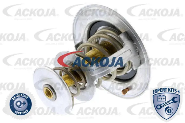 Thermostat, coolant (A70-99-0001)