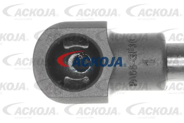 Gas Spring, boot/cargo area