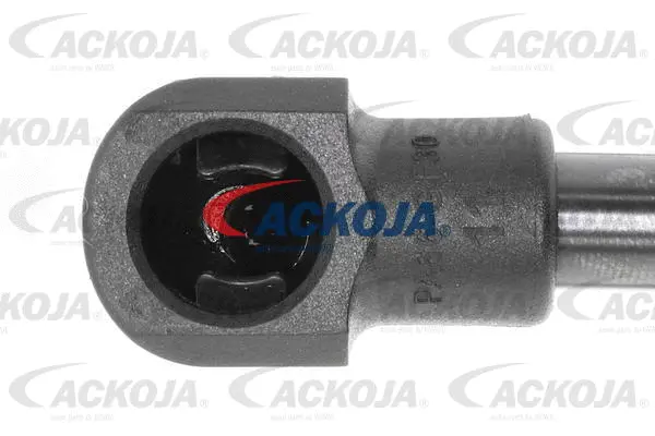 Gas Spring, boot/cargo area