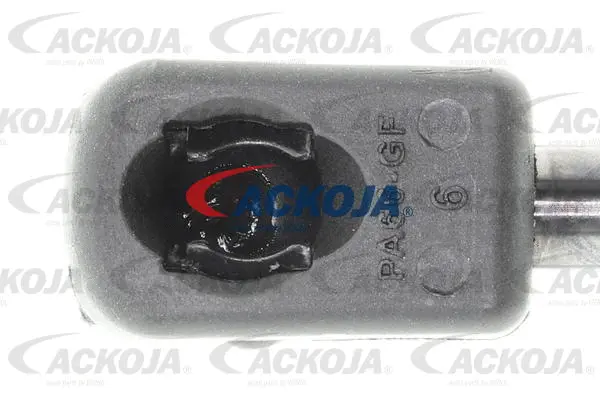 Gas Spring, boot/cargo area