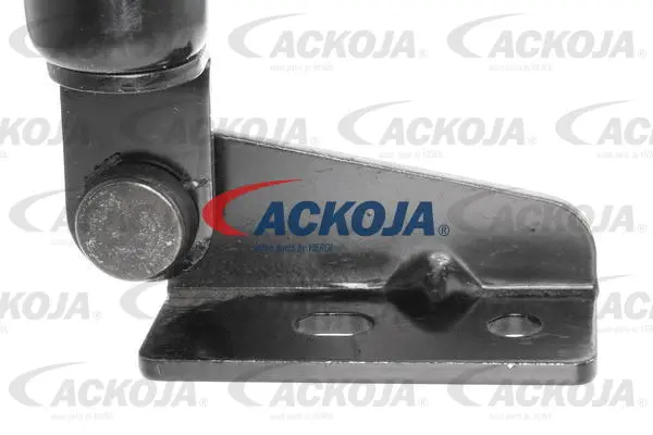 Gas Spring, boot/cargo area