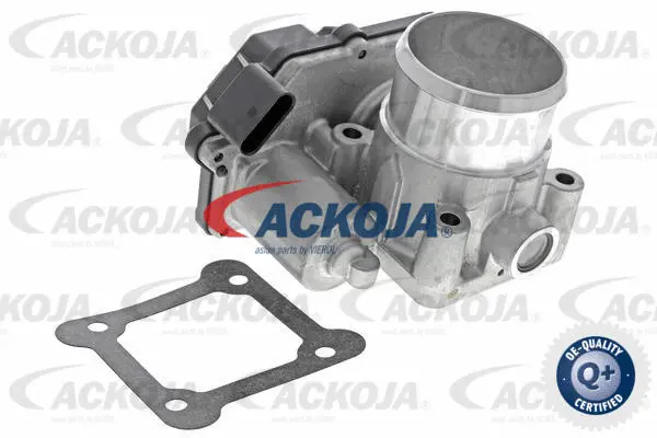 Throttle Body (A52-81-0007)