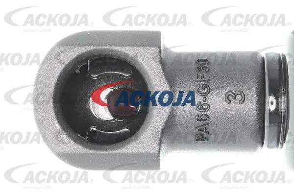 Gas Spring, boot/cargo area