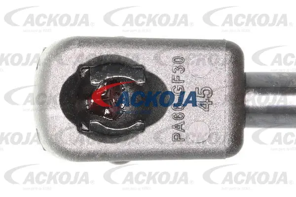 Gas Spring, boot/cargo area