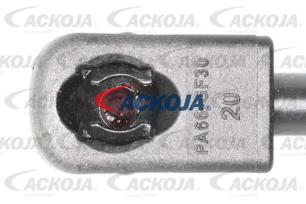 Gas Spring, boot/cargo area