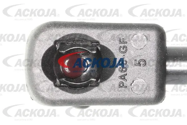 Gas Spring, boot/cargo area