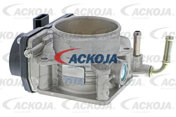 Throttle Body (A38-81-0005)