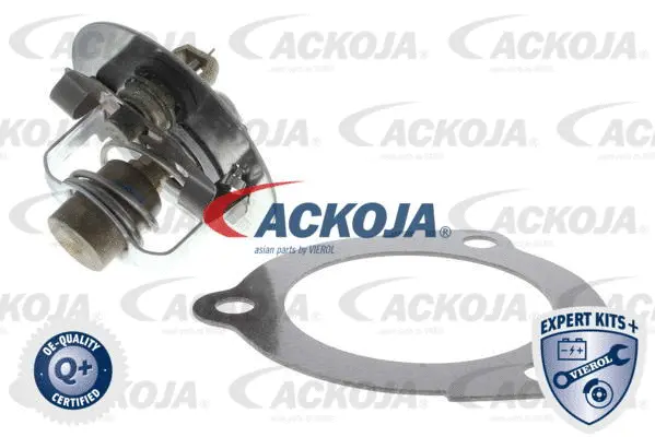 Thermostat, coolant (A53-99-0008)