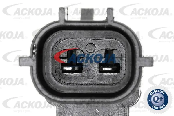 Control Valve, camshaft adjustment