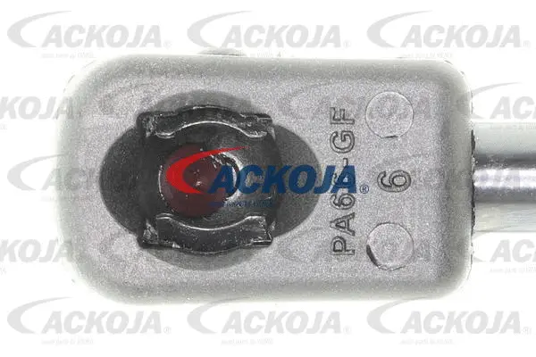 Gas Spring, boot/cargo area