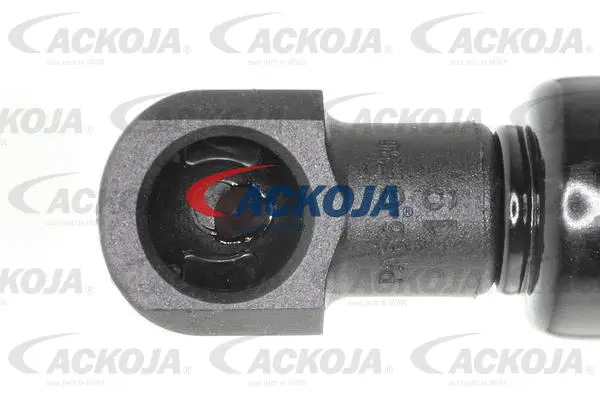 Gas Spring, boot/cargo area