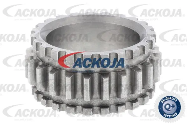 Sprocket, crankshaft (A52-9089)