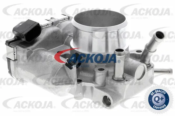 Throttle Body (A53-81-0001)