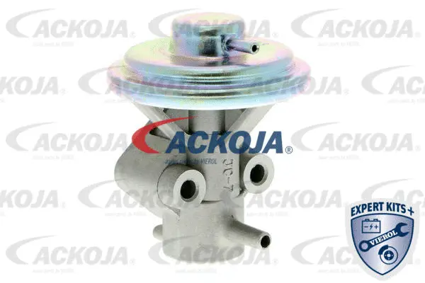 EGR Valve (A51-63-0008)
