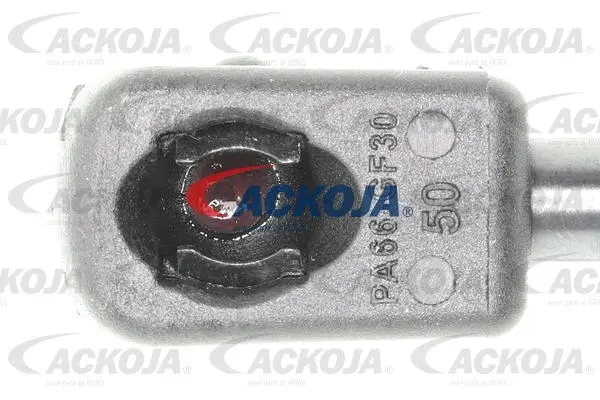 Gas Spring, boot/cargo area