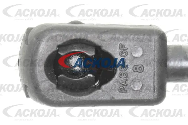 Gas Spring, boot/cargo area