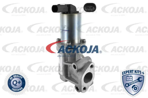 EGR Valve (A52-63-0006)
