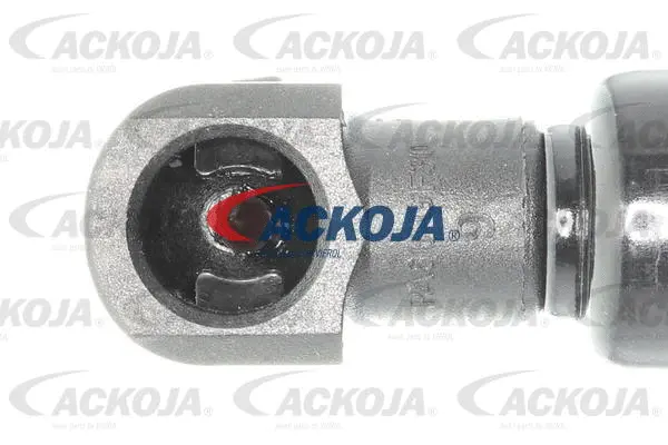 Gas Spring, boot/cargo area