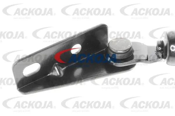 Gas Spring, boot/cargo area