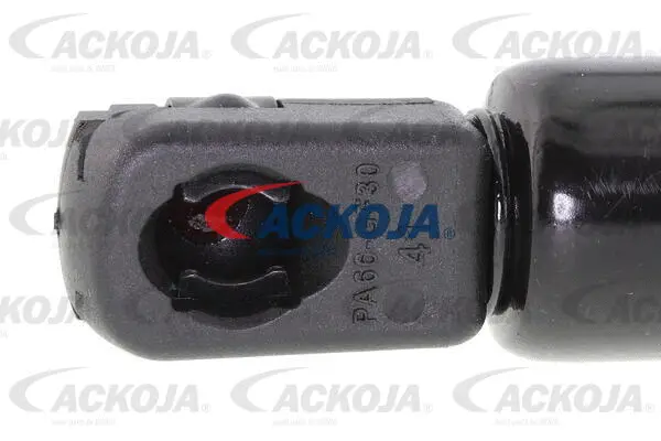 Gas Spring, boot/cargo area