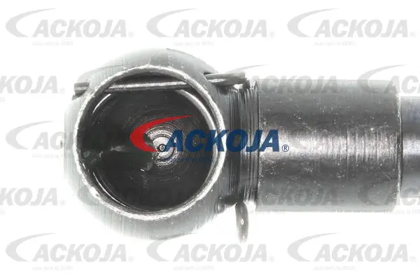 Gas Spring, boot/cargo area