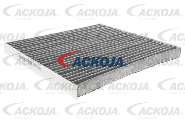 Filter, cabin air (A38-31-0004)