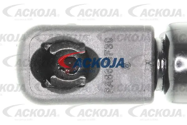 Gas Spring, boot/cargo area