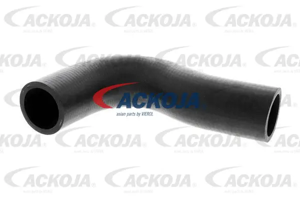 Radiator Hose (A51-1602)
