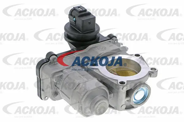 Throttle Body (A38-81-0002)
