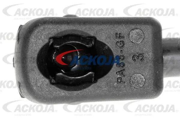 Gas Spring, boot/cargo area