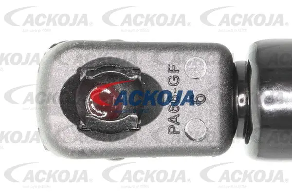 Gas Spring, boot/cargo area