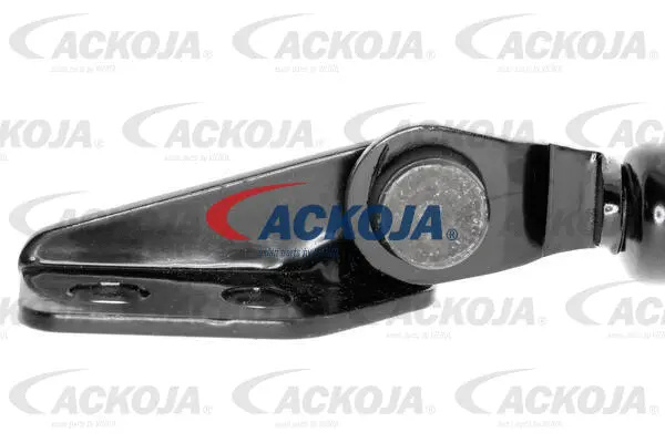 Gas Spring, boot/cargo area