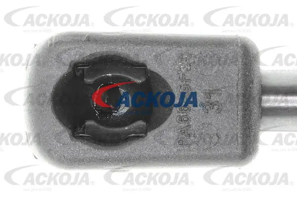 Gas Spring, boot/cargo area