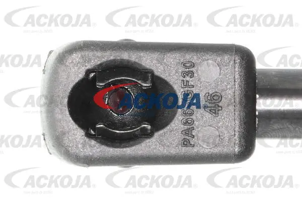 Gas Spring, boot/cargo area