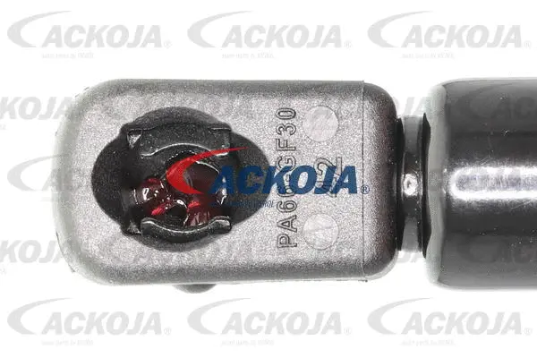 Gas Spring, boot/cargo area