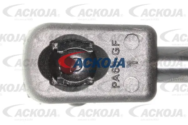 Gas Spring, boot/cargo area