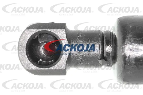 Gas Spring, boot/cargo area