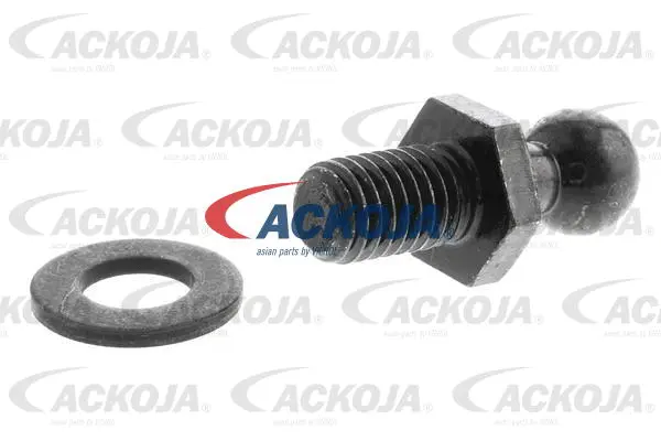 Gas Spring, boot/cargo area