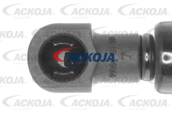 Gas Spring, boot/cargo area